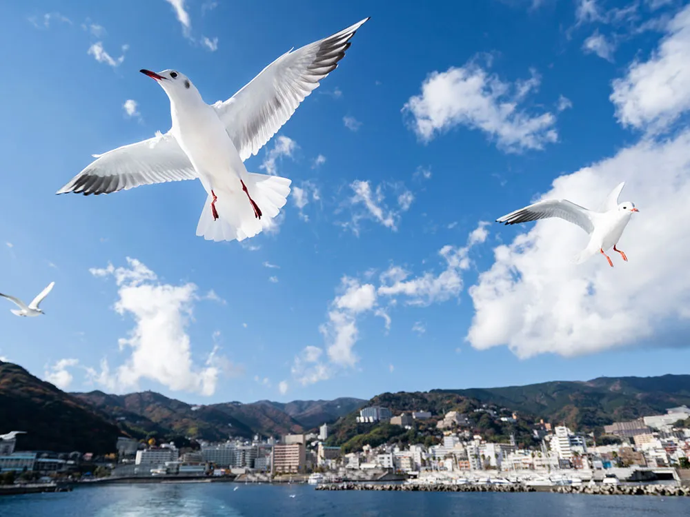 熱海の海から見た景色