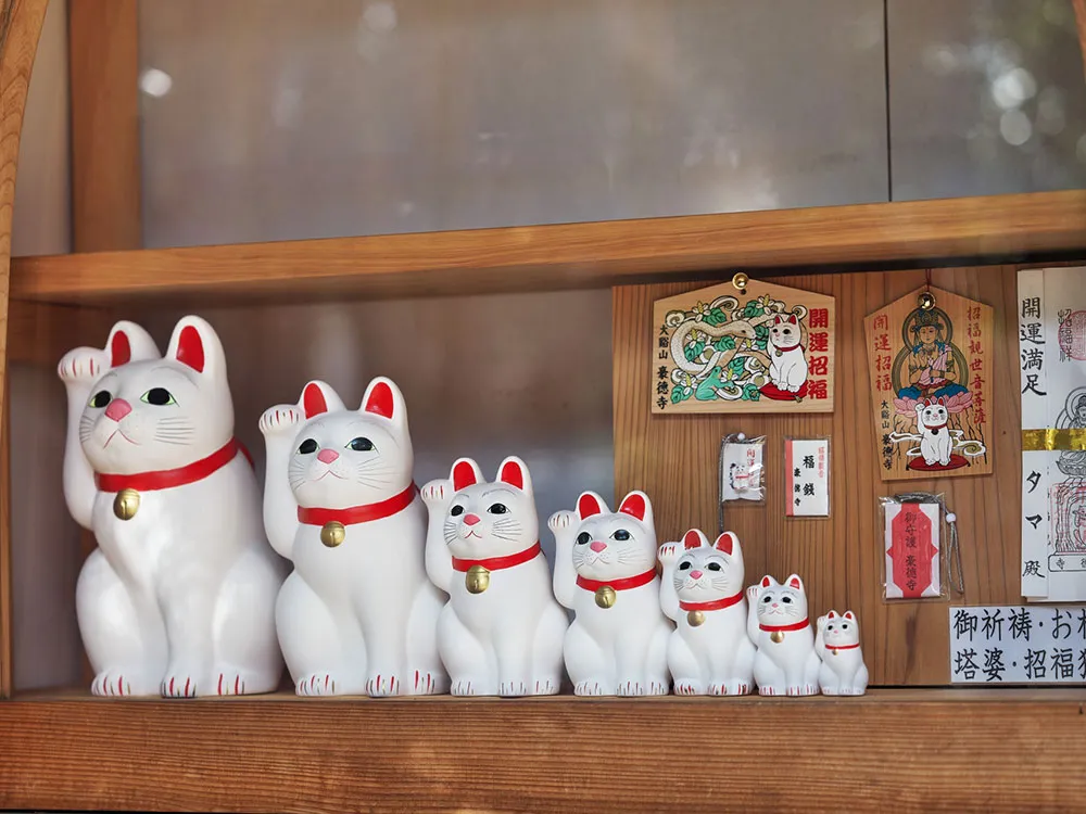 豪徳寺寺務所招き猫