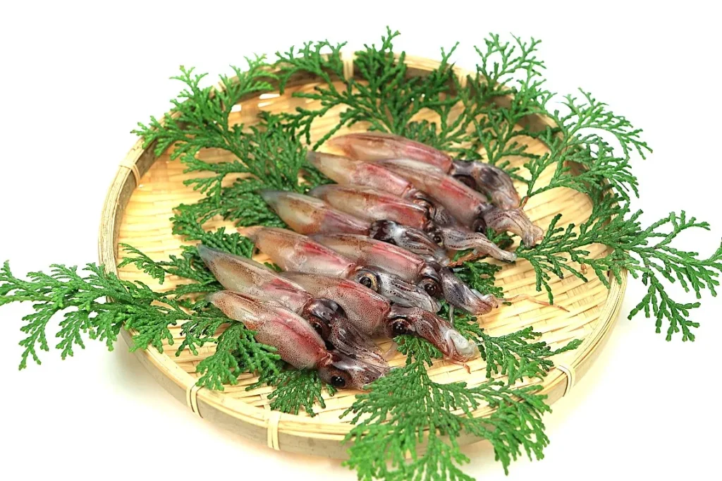 新鮮なホタルイカがざるの上に並べられた画像