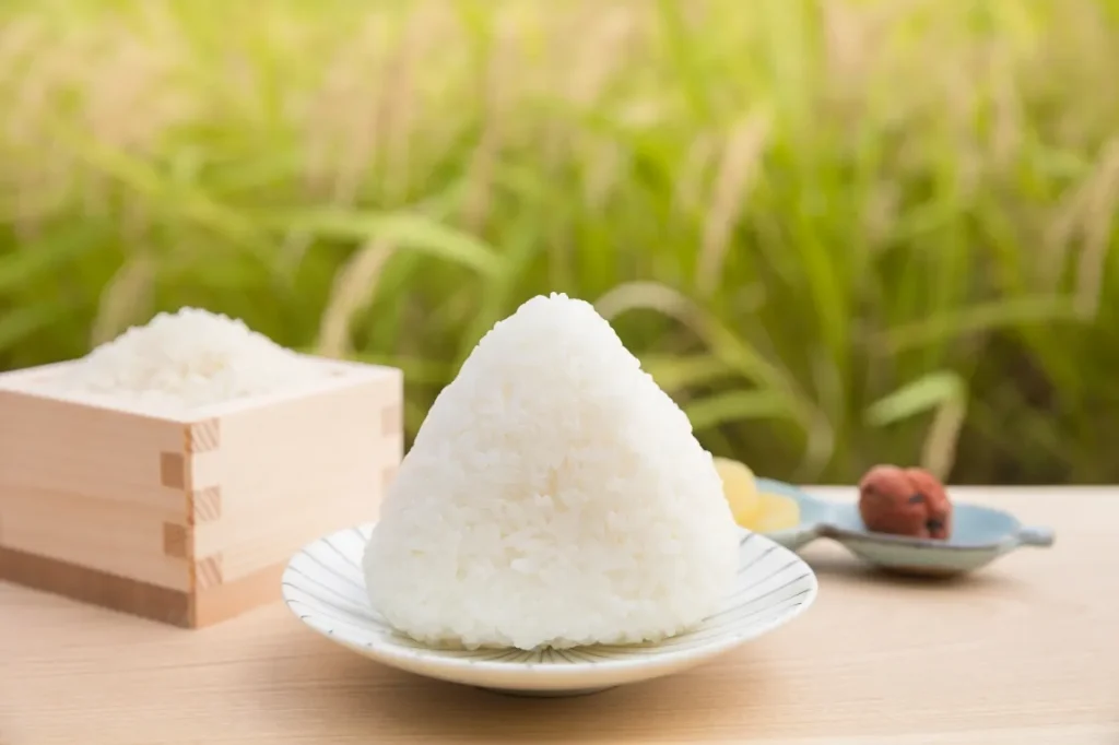 稲穂と塩にぎりの画像