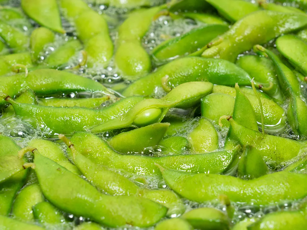 鍋で茹でているだだちゃ豆の画像
