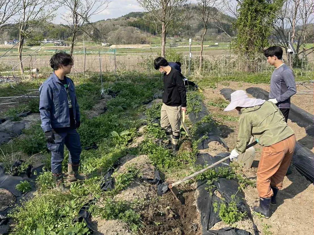 圃場で農作業をする学生たちの画像