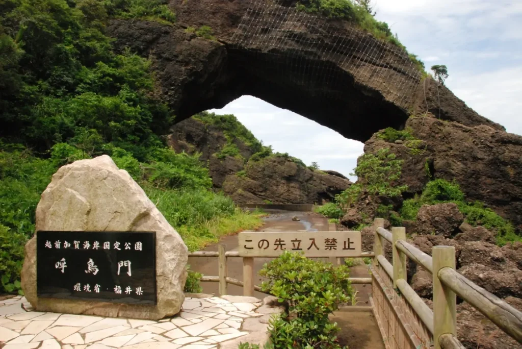 遊歩道から見た呼鳥門の画像