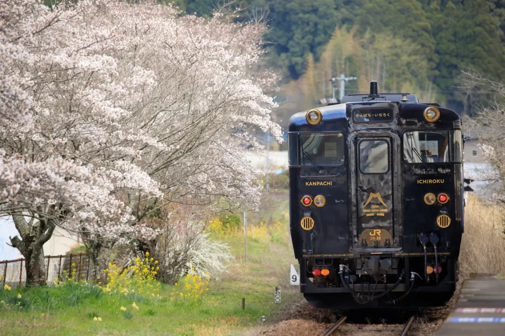 桜咲く北山田駅を通過するJR九州の観光列車「かんぱち・いちろく」の画像)