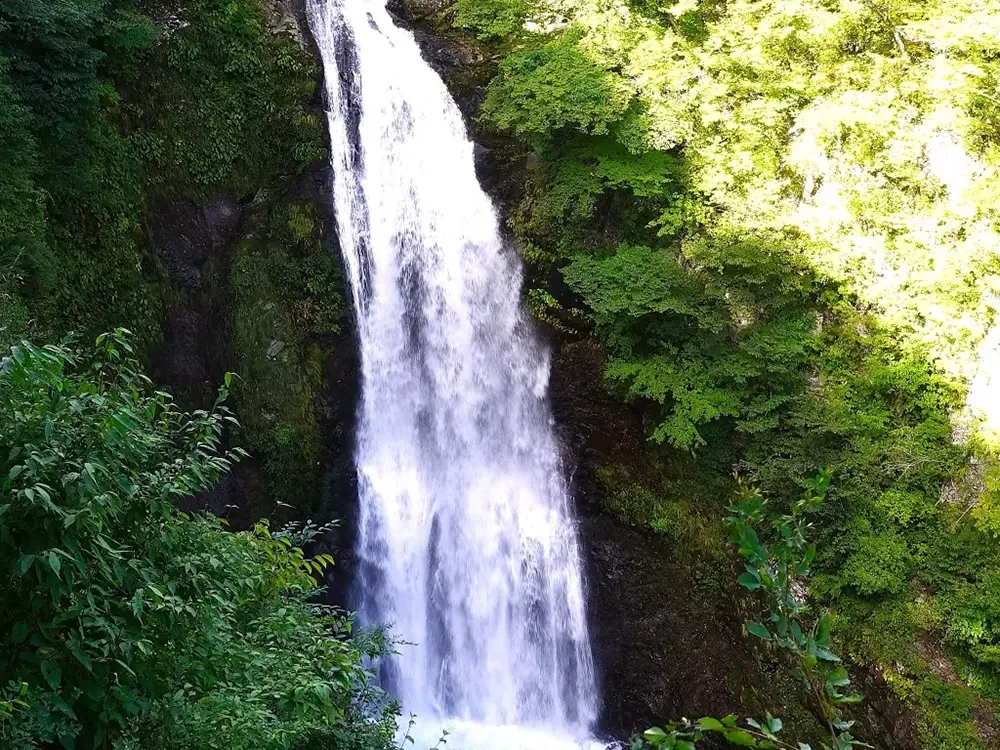 秋保大滝の画像