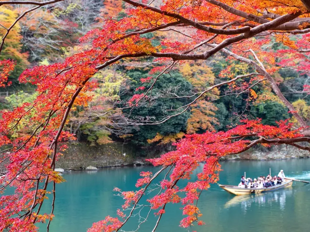 紅葉の中を進む保津川下りの船の画像
