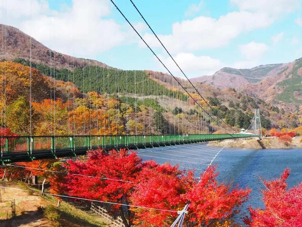 紅葉が美しいもみじ谷大吊橋の画像