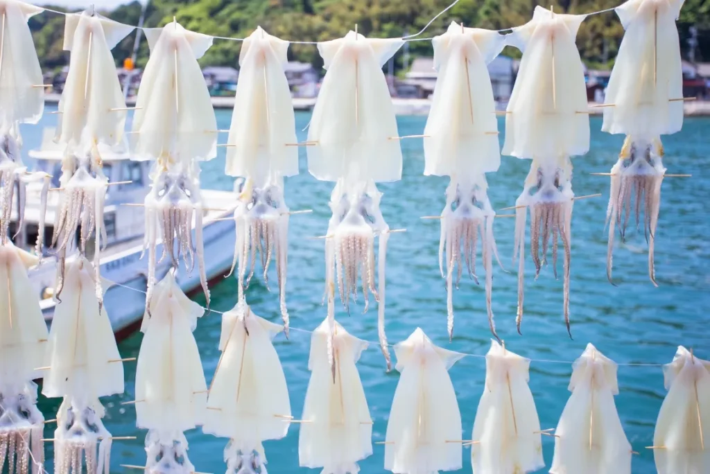 海辺でイカが天日干しにされている画像