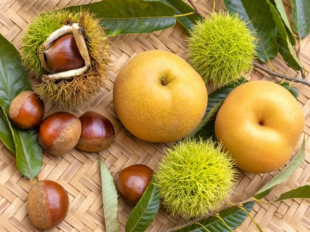 籠に載せた梨と毬栗の画像