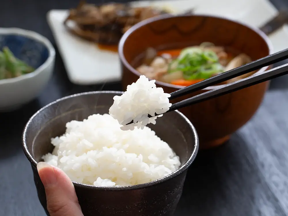 炊き立てのお米とおかずの並んだ写真