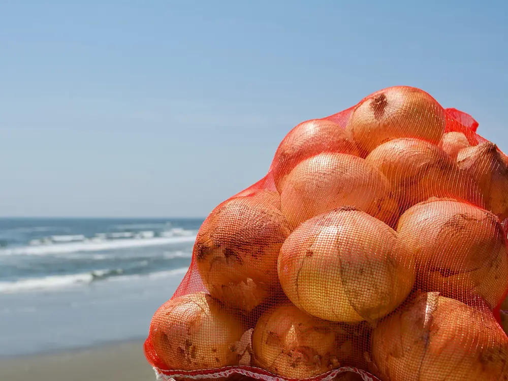 白子町の海岸と名産の玉ねぎの画像