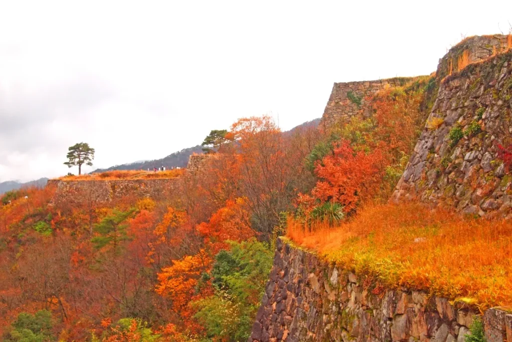 秋の紅葉と雲海のコラボレーションが幻想的な竹田城跡の画像