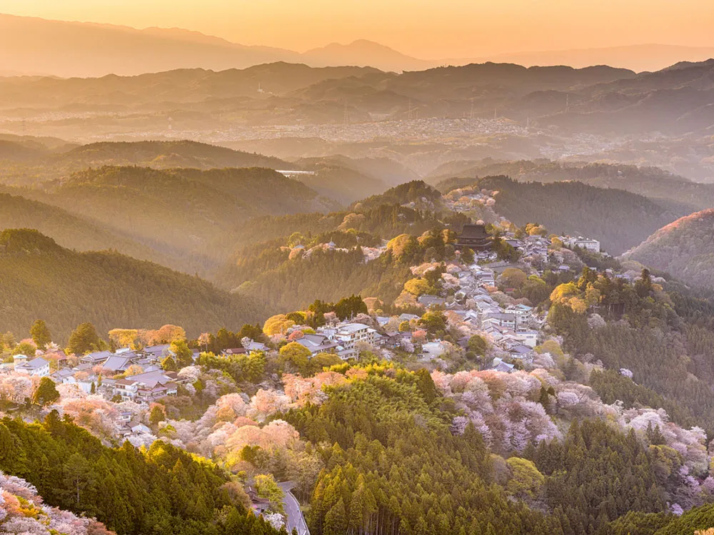 春の奈良・吉野の遠景の画像