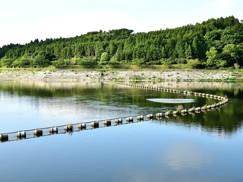 長柄ダムの画像