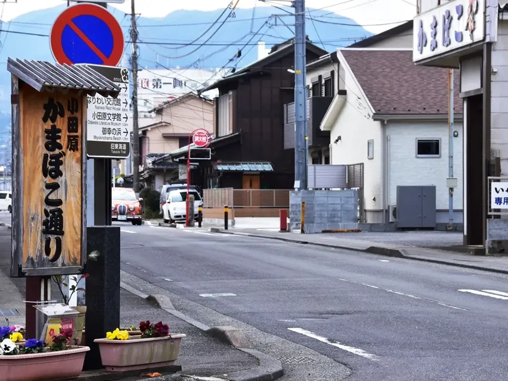 小田原旧東海道かまぼこ通りの画像