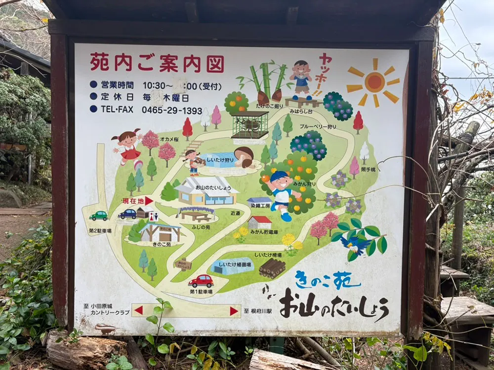 お山のたいしょうの案内看板の画像