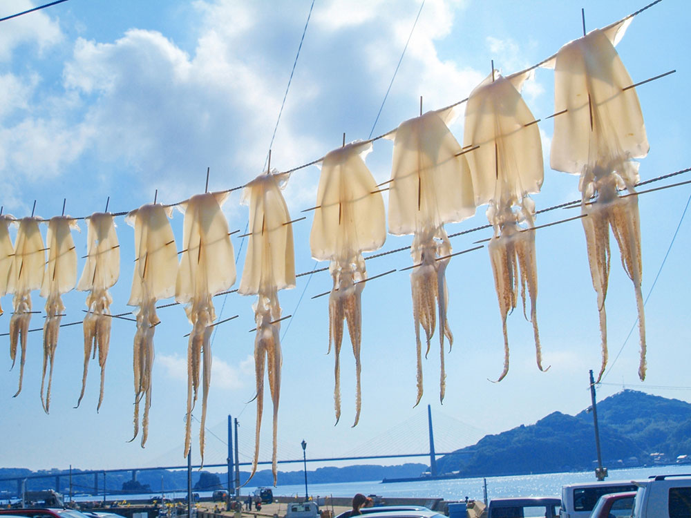 イカと呼子大橋の画像