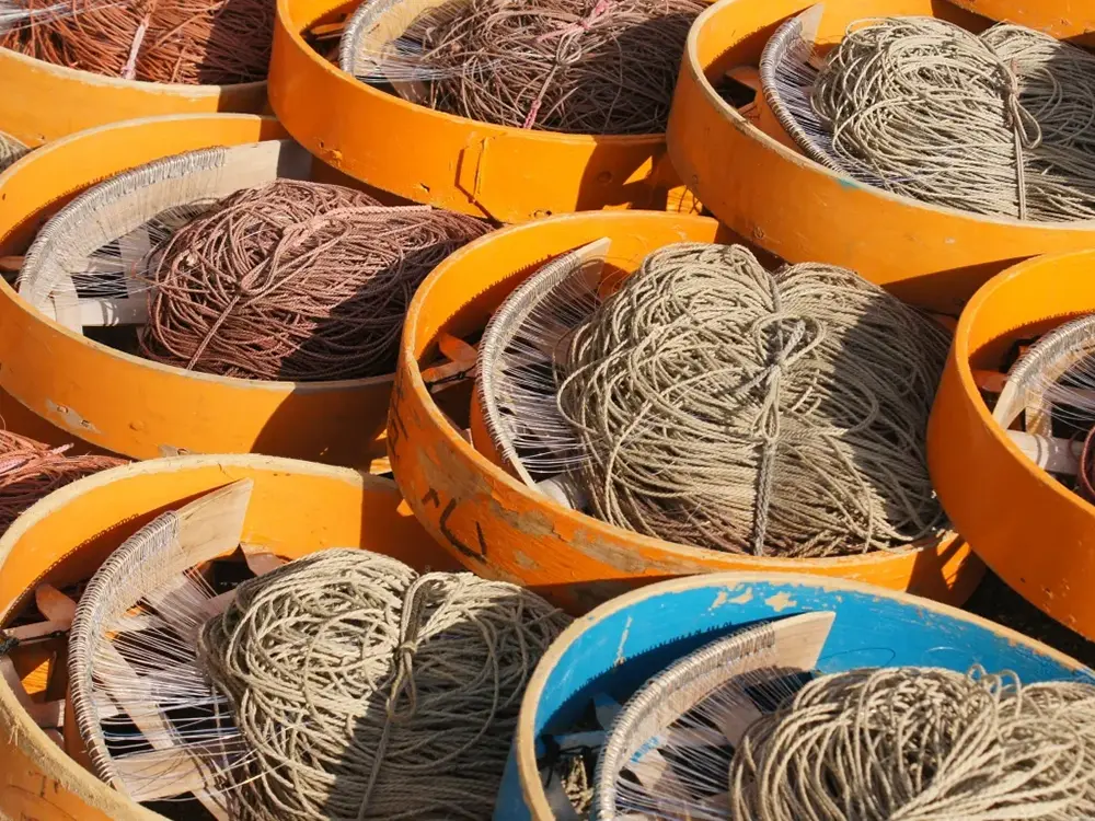 延縄漁の仕掛けの画像