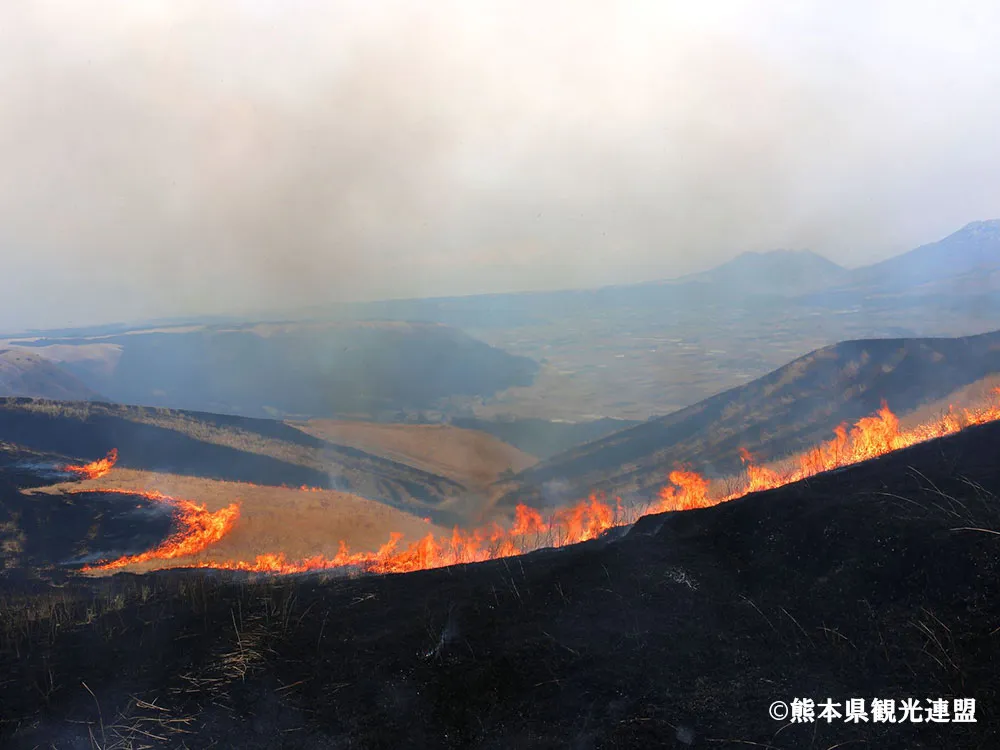 阿蘇の野焼きの画像