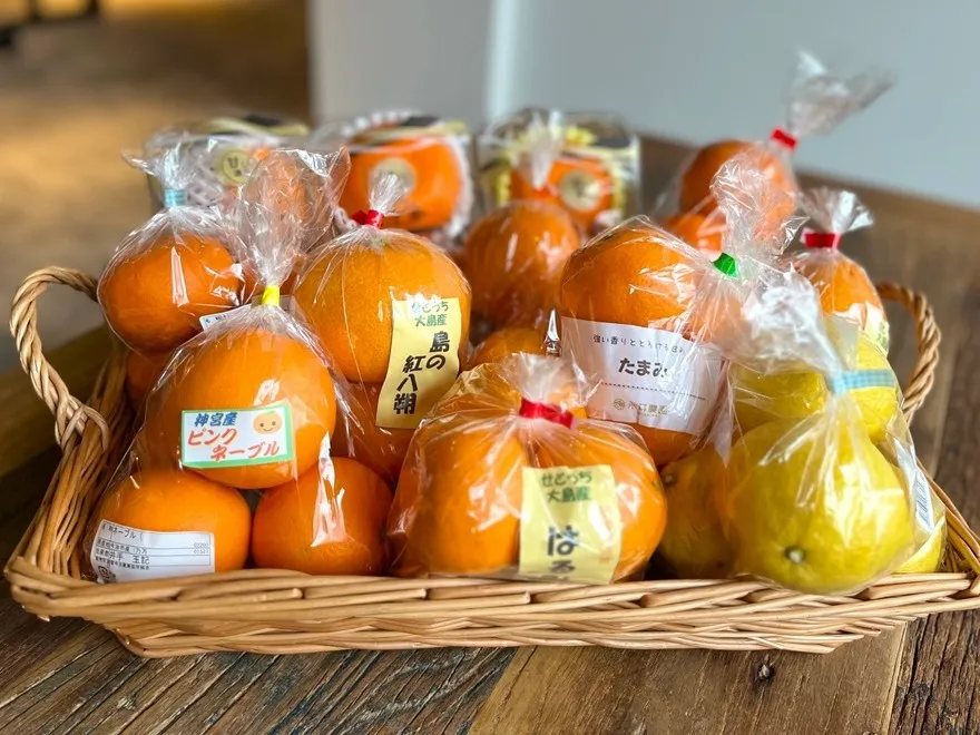 籠にさまざまな品種の愛媛県産柑橘を並べた画像