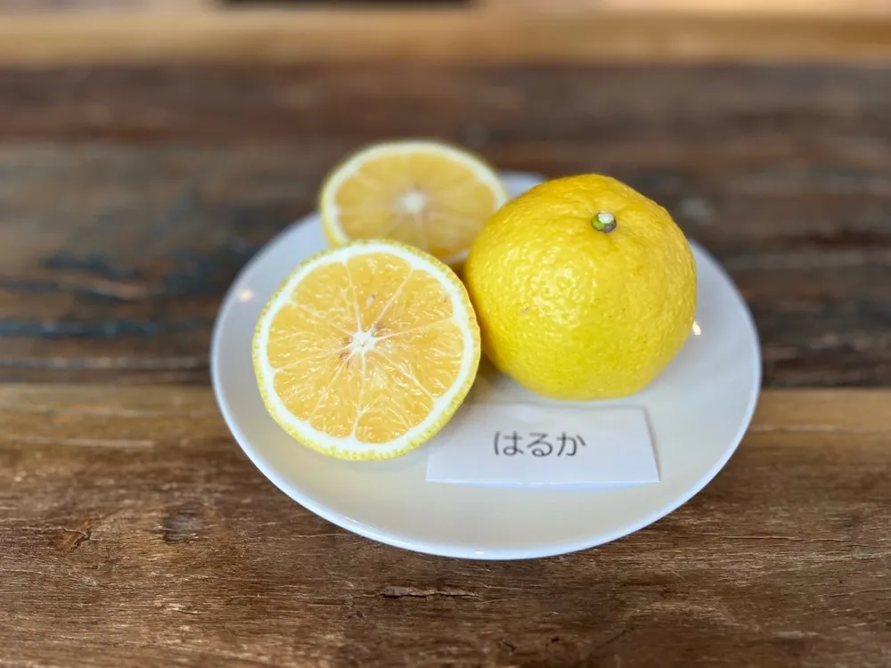 白いお皿にカットしたはるかを載せた画像