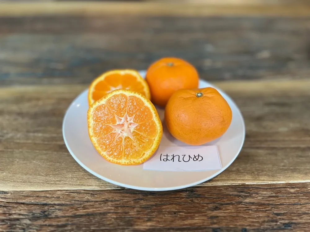 白いお皿にカットしたはれひめを載せた画像