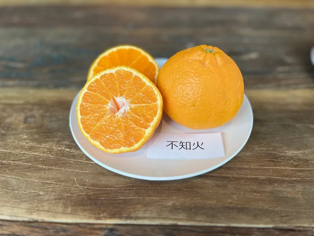 白いお皿にカットした不知火を載せた画像