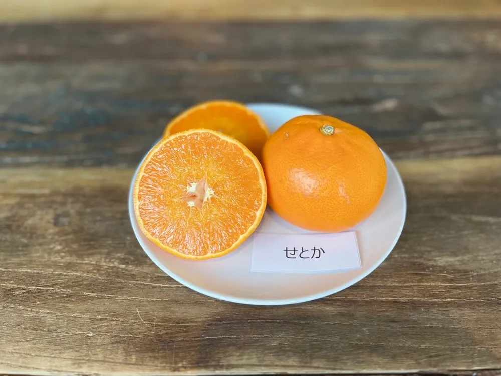 白いお皿にカットしたせとかを載せた画像