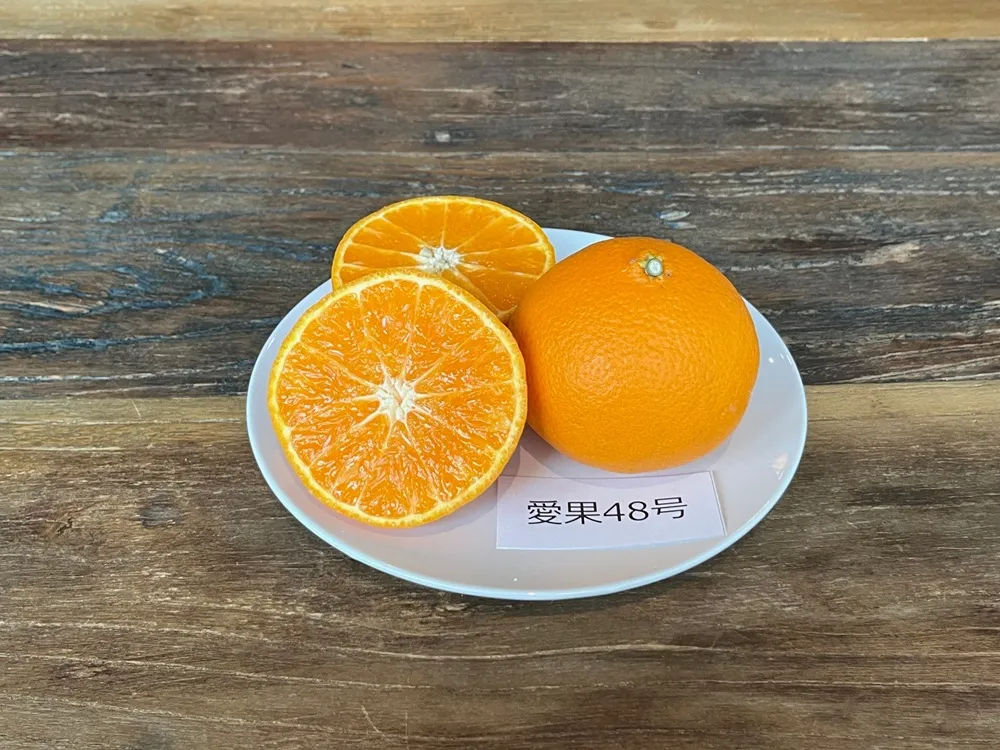 白いお皿にカットした紅プリンセスを載せた画像