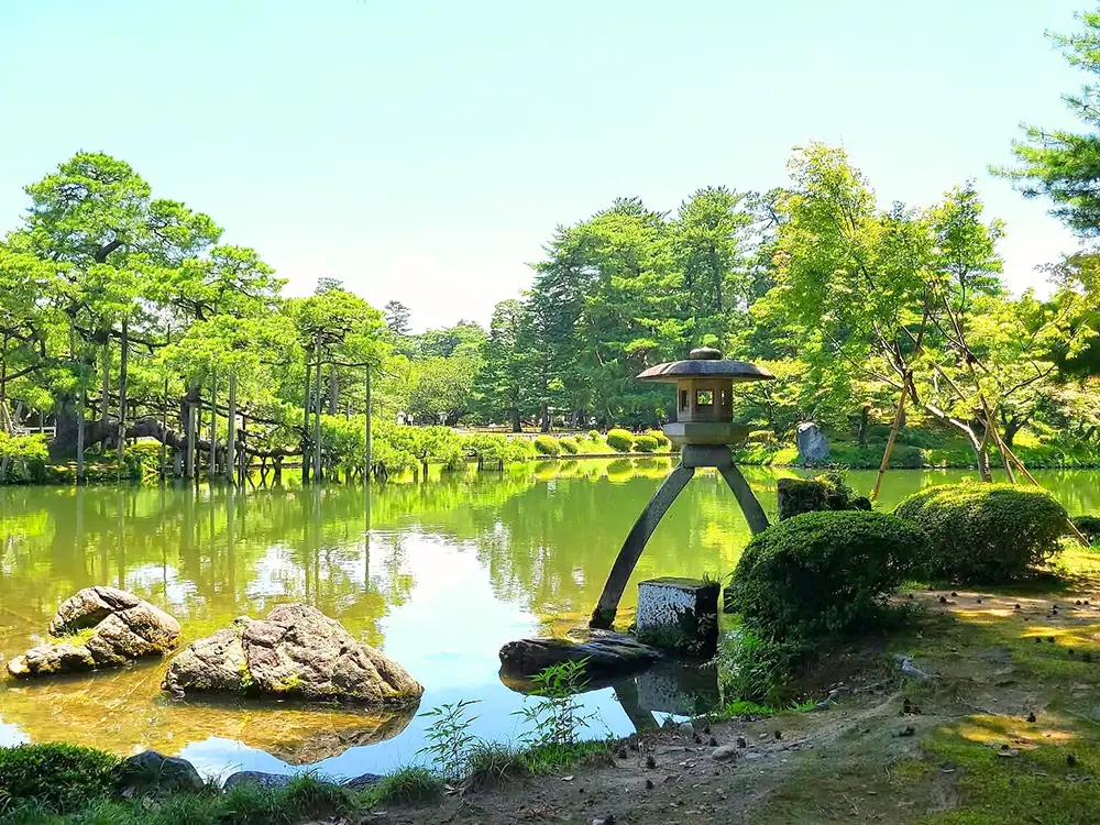 真夏の緑眩しい真夏に霞ヶ池と徽軫灯籠が写った兼六園の画像