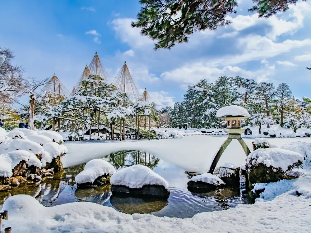 雪囲いがされた雪景色の兼六園の画像