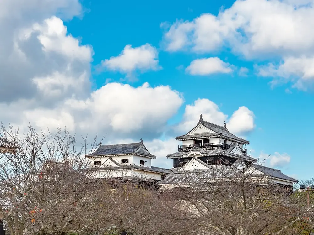 青空をバックにした松山城天守閣の画像