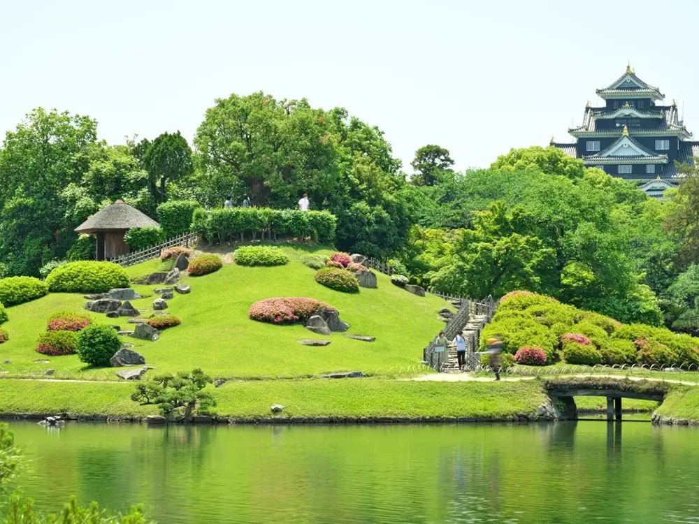 初夏の緑の芝生が眩しく、借景に岡山城を望む後楽園の画像