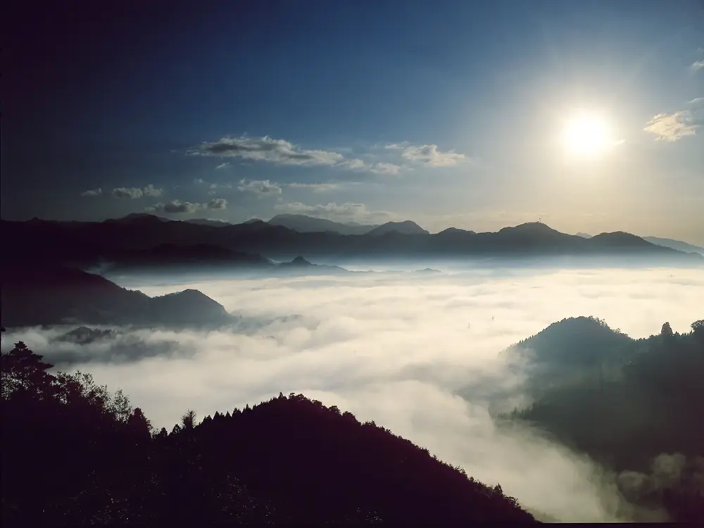 国見ケ丘から雲海を望む画像