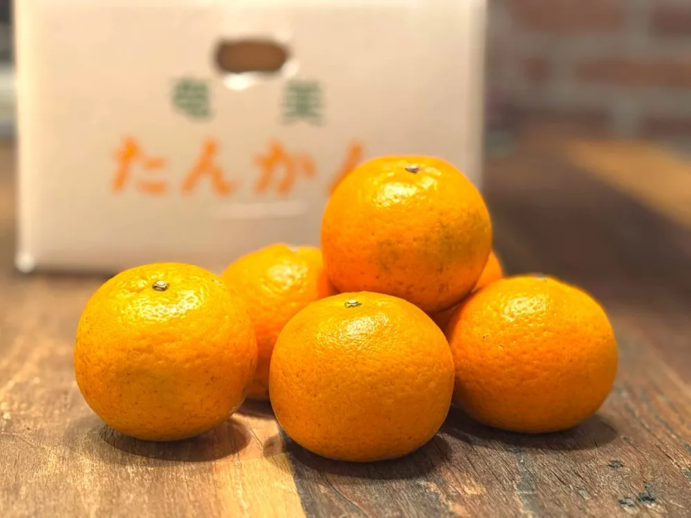 奄美たんかんの段ボール箱と箱から取り出したたんかんの画像