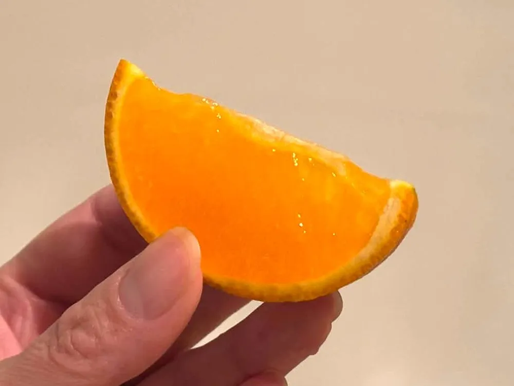 カットしたたんかんを手に持った画像