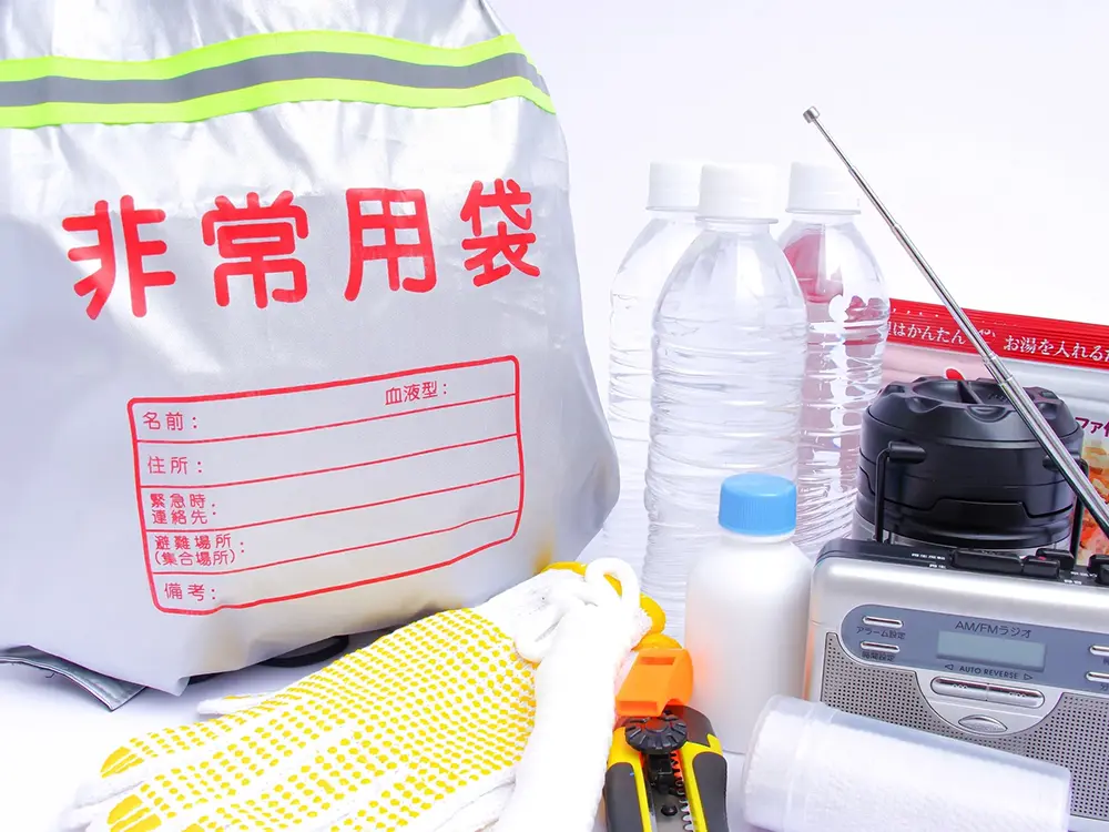 非常持ち出し袋とその中身の画像