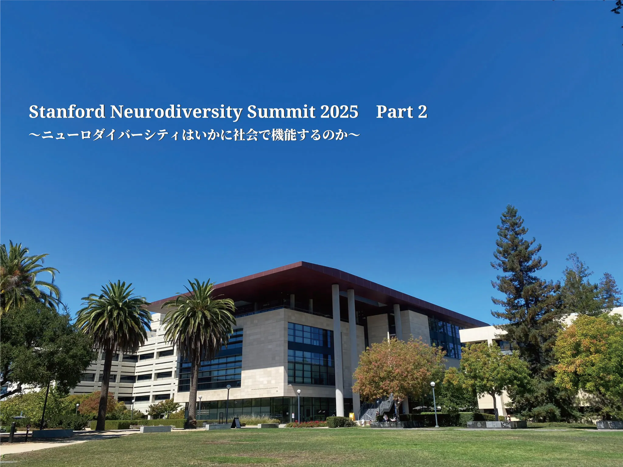 スタンフォード大学イメージ