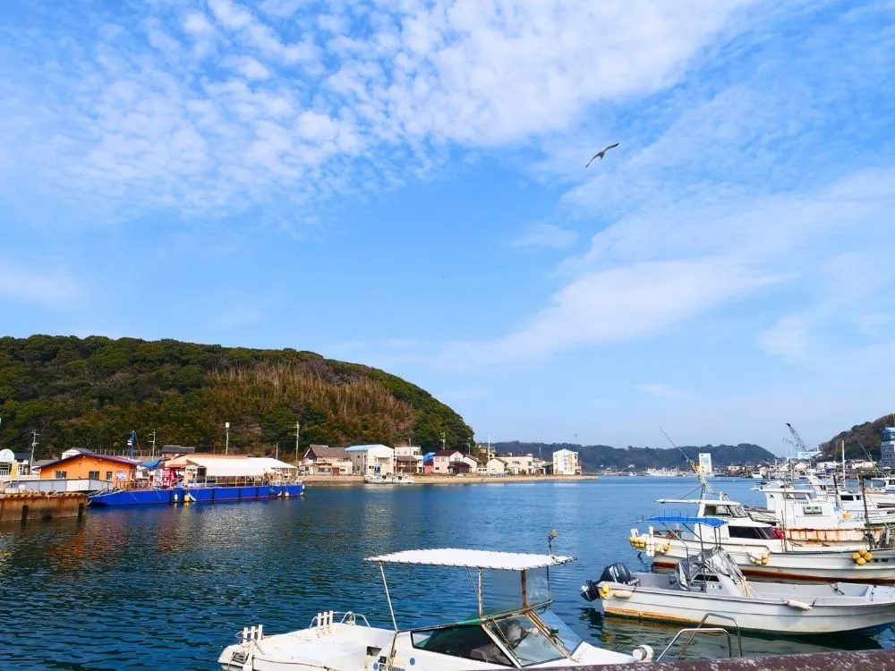 呼子の港の写真