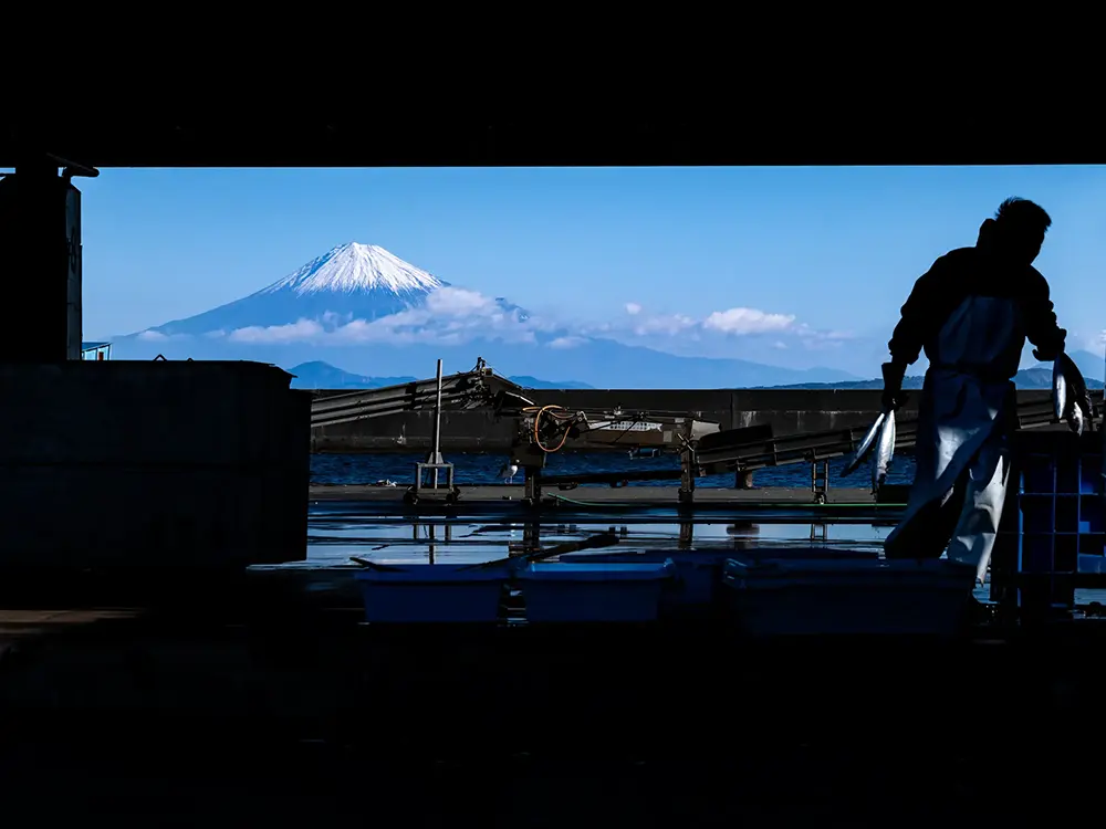 焼津小川港の構内から富士山を望む画像