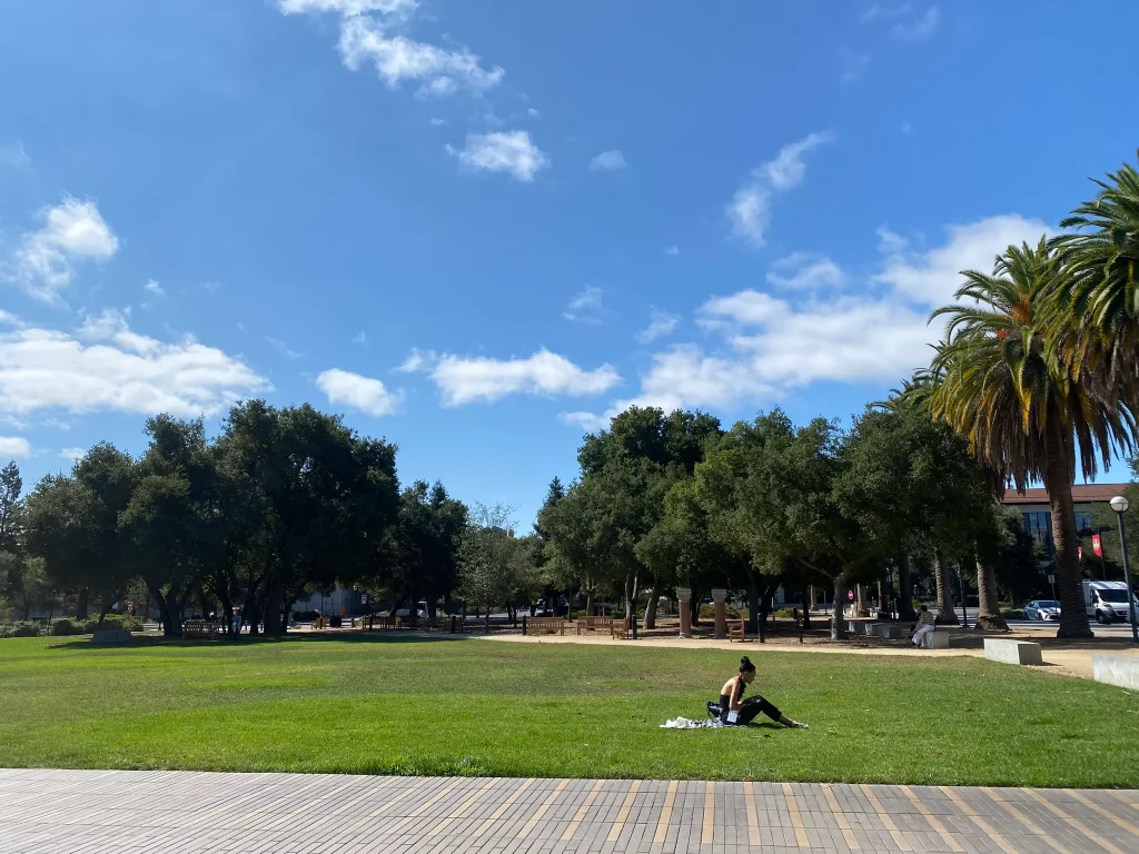 青空と緑のコントラストが素晴らしいスタンフォード大学の中庭に学生が座っている画像
