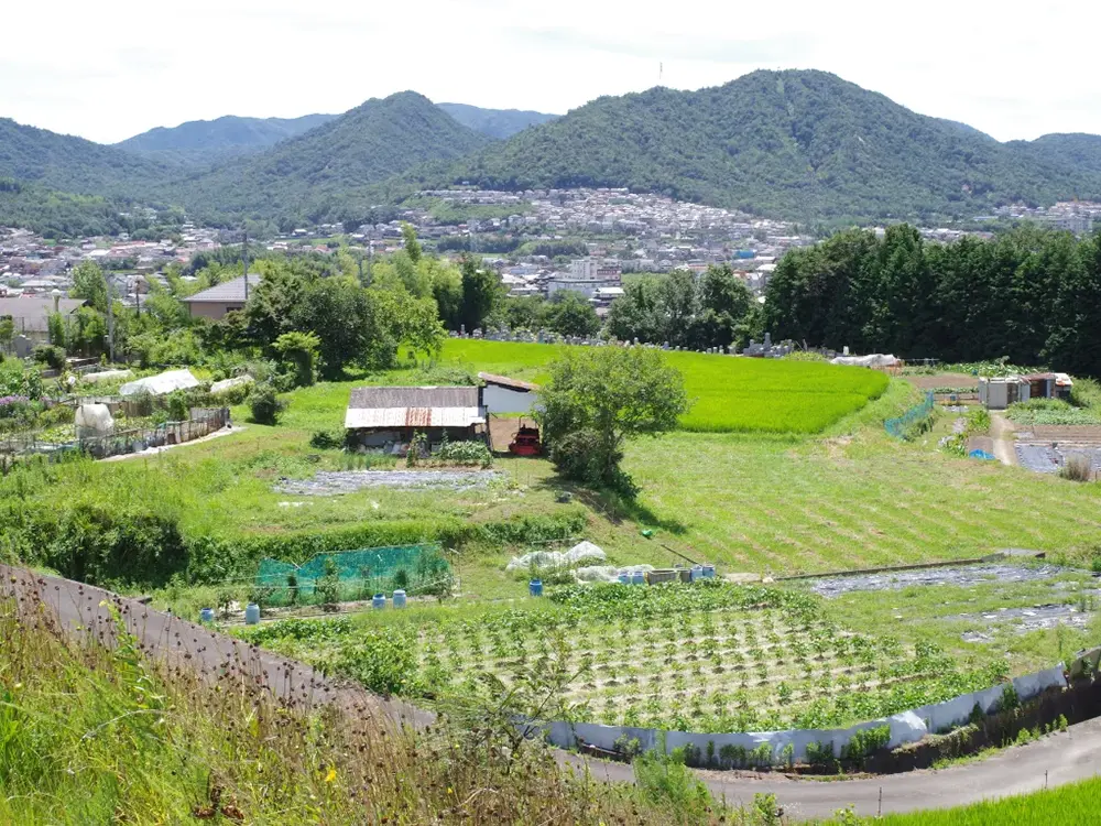 筆の里工房のから眺めた熊野町の景色