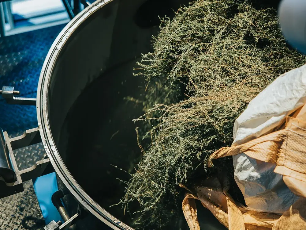 呼子蒸留所内の大きなタンクにハーブが入れられる様子の画像