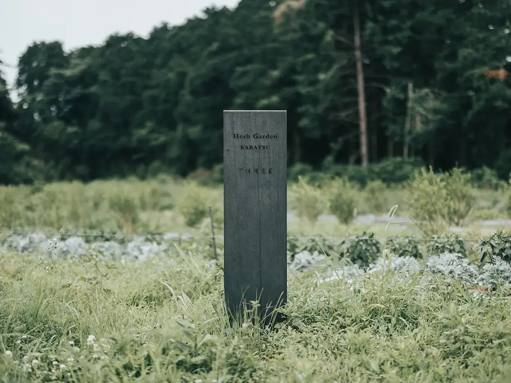 佐賀県玄海町から唐津市に広がるハーブを栽培する畑の画像