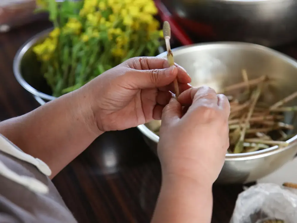 ツクシの袴を取り除いている画像