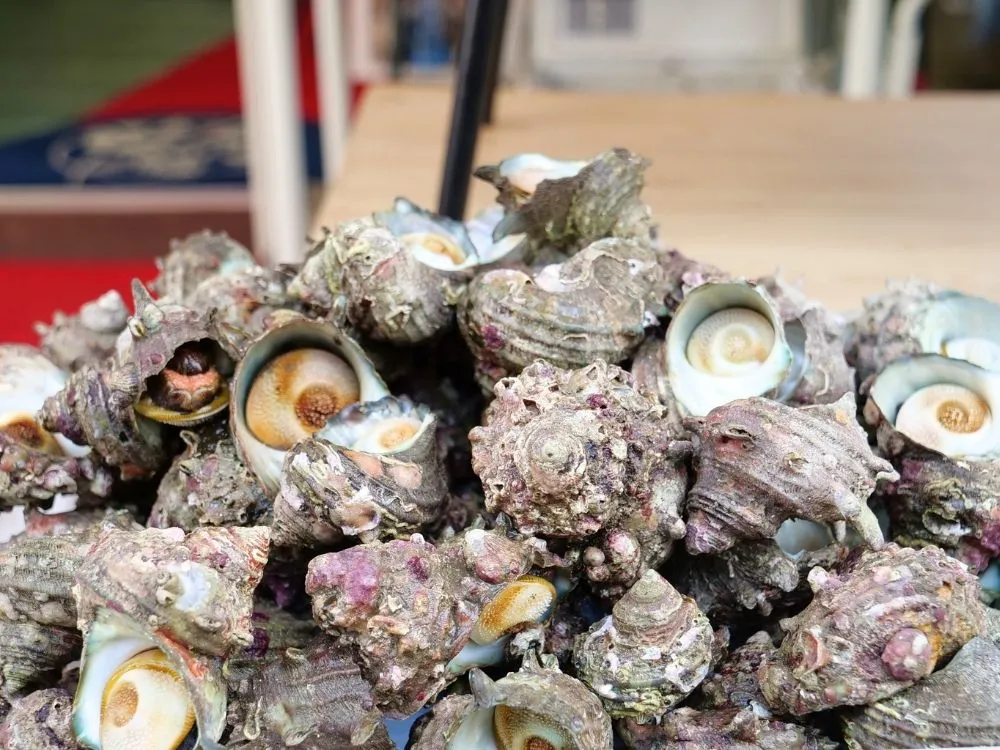 呼子朝市でサザエが積み上げられている様子の画像