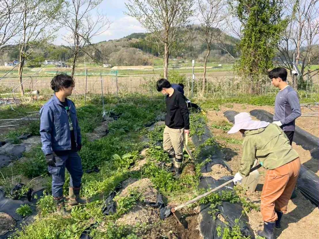 東京大学の学生がホップ畑を耕している様子の画像 