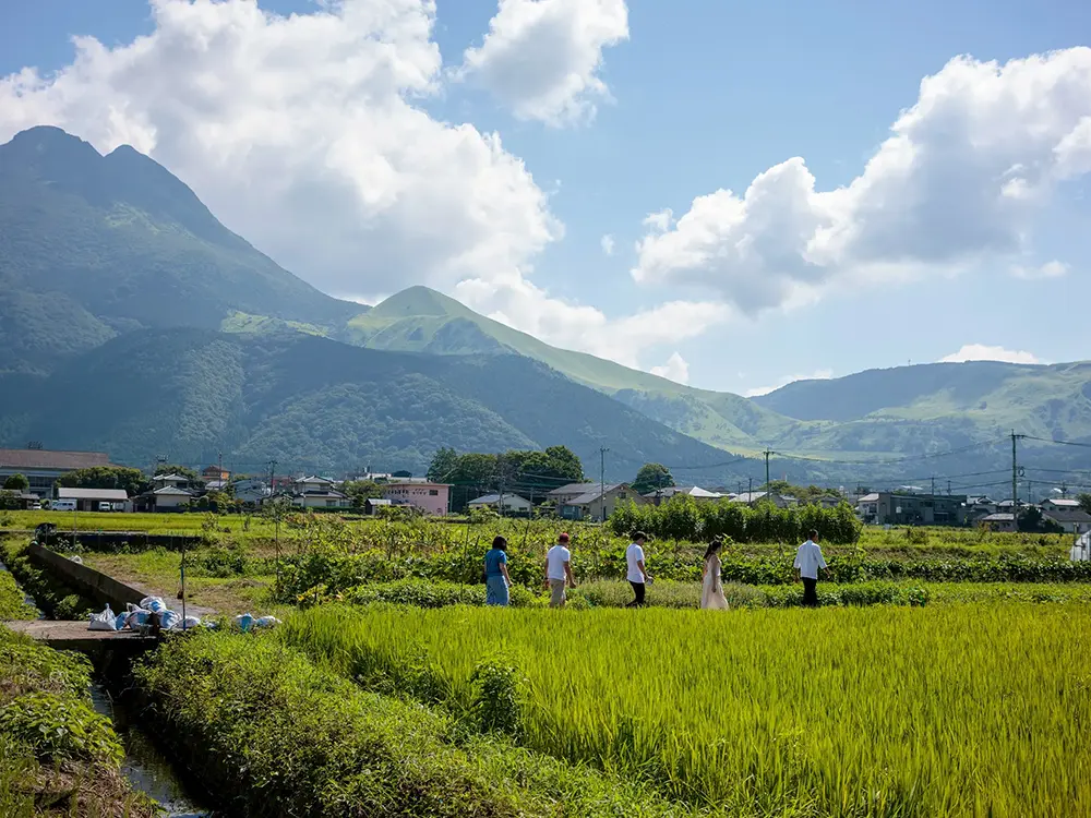 晴れた日の由布岳と田んぼが映るENOWA FARMの写真