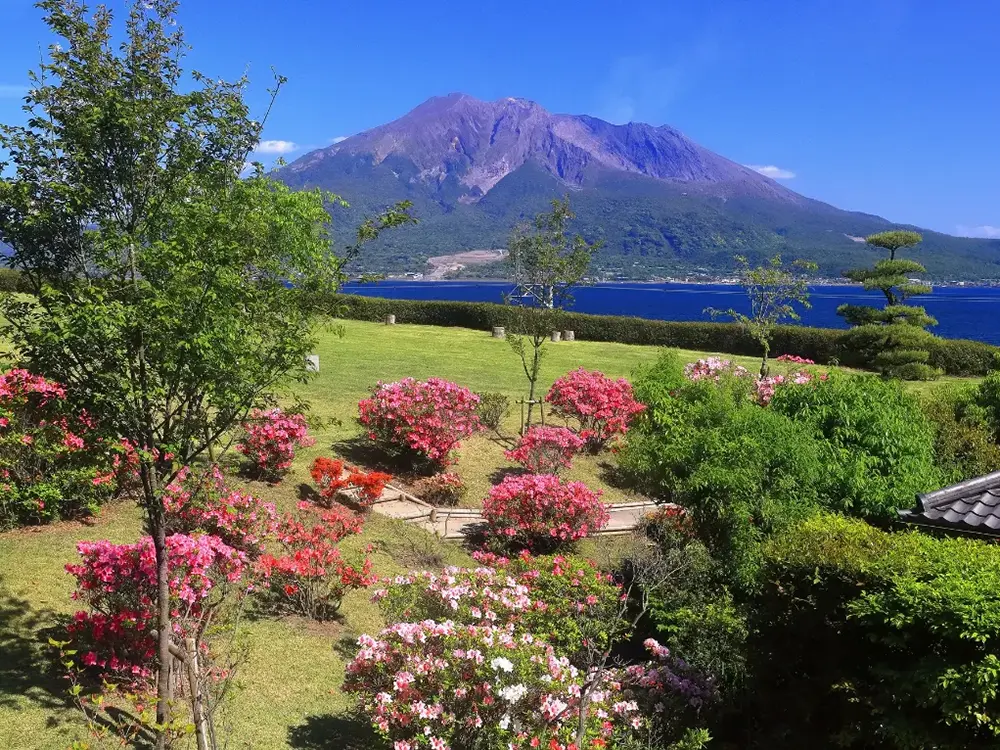青天の鹿児島市内仙巌園から桜島を望む画像
