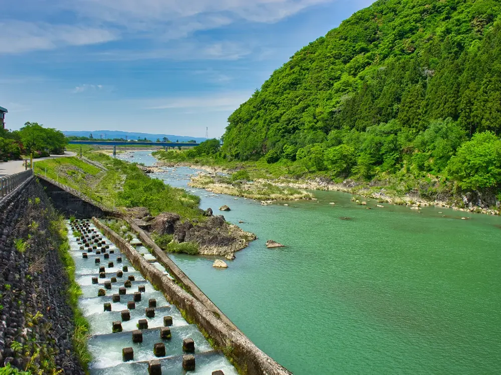 庄川用水合口ダム横の魚道の画像